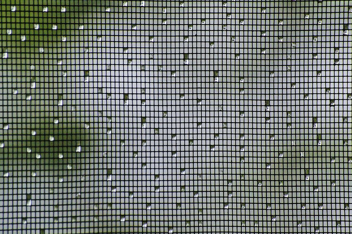 fly screen